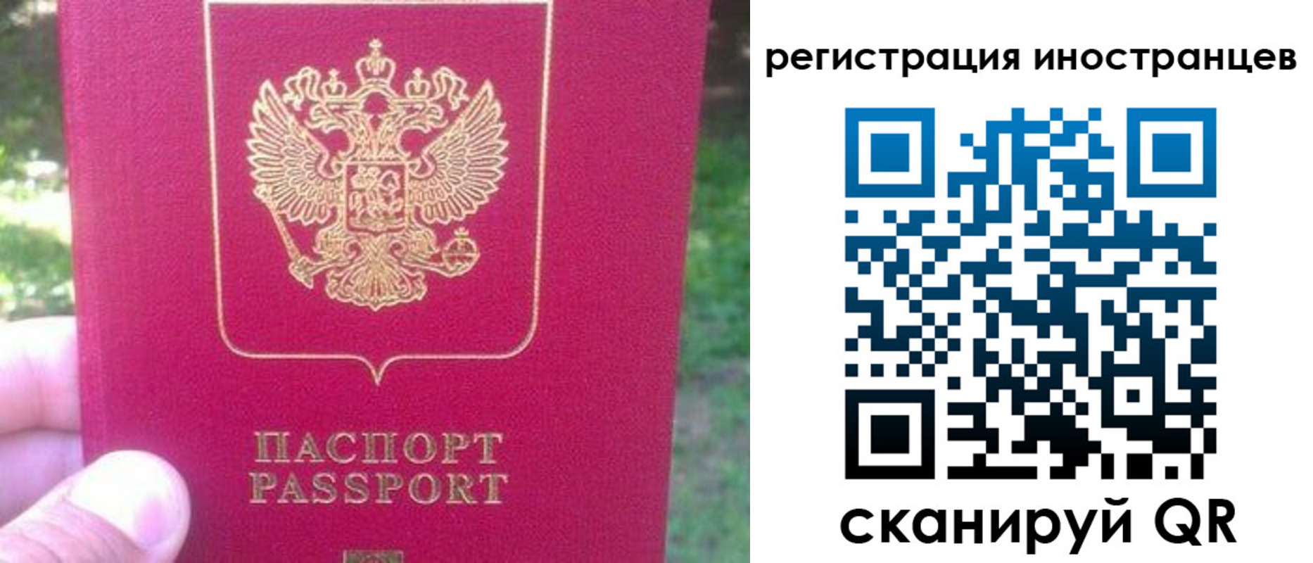 временная регистрация законно в Волосово